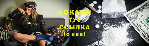 ГАЛЛЮЦИНОГЕННЫЕ ГРИБЫ Инсар