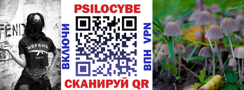Галлюциногенные грибы Psilocybine cubensis  Рославль 