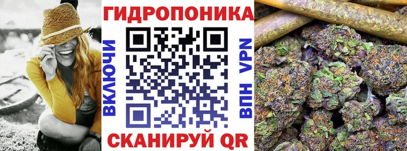 МЕГА как войти  закладка  Рославль  Конопля сатива 
